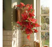 Leaf 30Cm Artificial Trailing Red Caladium Premium