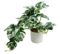Leaf 30Cm Artificial Variegated Green Potted Monstera Garland