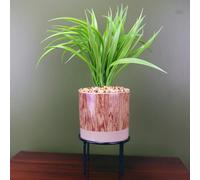 Leaf 35cm Artificial Grass Plant with Contemporary Ceramic Planter and Metal Stand set - 35cm - Brown/Green - 35cm