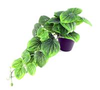 Leaf 35cm Artificial Trailing Green Potted Pothos Plant - 35cm - Green - 35cm