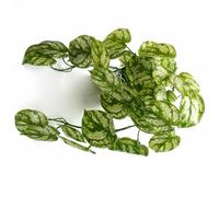 Leaf 35cm Artificial Trailing Light Natural Look Plant Realistic - 35cm - Green/Variegated - 35cm