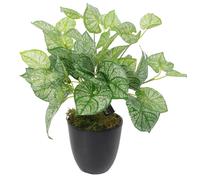 Leaf 40Cm Artificial Caladium Plant With Pot