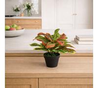 Leaf 40Cm Artificial Codiaeum Multicoloured House Plant