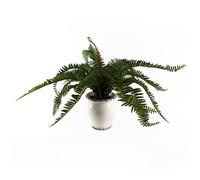 Leaf 40Cm Artificial Fern Bush In Decorative Planter, Green