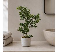 Leaf 45Cm Artificial Aglaia Odorata Bonsai Ficus Tree