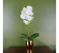 Leaf 46Cm Artificial Orchid White And Gold