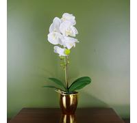 Leaf 46cm Artificial Orchid White / Gold - 46cm - 46cm - 46cm White Gold Real Touch