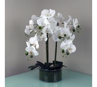 50cm Artificial Orchid with Glass Planter - White Leaf Green One Size