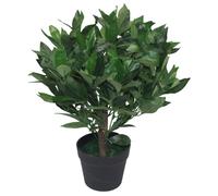 Leaf 50cm Dwarf Artificial Bay Tree Laurel Topiary Bush in Green Leaf Green