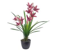 50cm Large Dark Pink Artificial Orchid in Ceramic Planter Leaf Dark Pink One Size