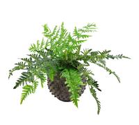 Leaf 50cm Luxury Artificial Evergreen Fern Plant in Green Leaf Green