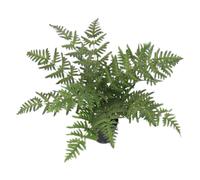 Leaf 50cm Luxury Artificial Evergreen Fern Plant in Green Leaf Green