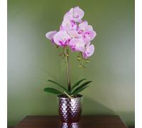 Leaf 50cm Phalaenopsis Orchid Artificial Light Pink Silver Leaf Pink