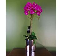 Leaf 52cm Artificial Orchid Large - Dark Pink/Silver