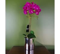 Leaf 52cm Artificial Orchid Large - Dark Pink / Silver - 52cm - 52cm - 52cm Dark Pink Silver Real Touch