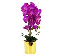 52cm Artificial Orchid Large - Purple / Gold Leaf Purple One Size