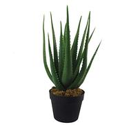Leaf 55cm Artificial Realistic Aloe Vera Succulent Plant