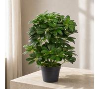 Leaf 55Cm Dark Green Artificial Schefflera Arboricola Plant