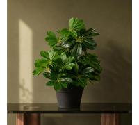 Leaf 55Cm Dark Green Artificial Umbrella Plant