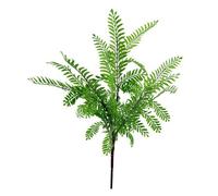 Leaf 55Cm Himilayan Maidenhair Fern Bush Light Green Plant