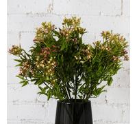Leaf 55cm Pack of 6 x Artificial Foliage Stem with Pink Berries Leaf Pink