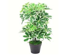 Leaf 55cm Variegated Artificial Schefflera Arboricola Plant in Green Leaf Green