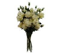 Leaf 6 x 60cm Cream Rose Artificial Flower Sprays - 24 Flowers 18 Buds - 60cm - Cream - 6 x 60cm Rose Cream