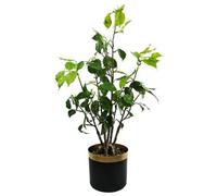 Leaf 60Cm Artificial Banyan Bonsai Ficus Tree