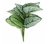 Leaf 60Cm Artificial Caladium Style Stem Plant Variegated Green White Faux Foliage Arrangement