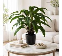 Leaf 60cm Artificial Calathea Plant in Green Leaf Green
