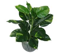 Leaf 60cm Artificial Devil's Ivy (Scindapsus Aureus) Plant - 60cm - Green/Variegated - 60cm