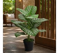 Leaf 60cm Artificial Green Stripe Plant Leaf Green