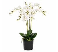 Leaf 60Cm Artificial Luxury Orchid - Triple Stem - White Realistic Plant