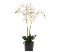 Leaf 60cm Artificial Luxury Orchid - Triple Stem - White Realistic Plant Leaf White