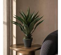 Leaf 60cm Deluxe Yukka Artificial Premium in Green Leaf Green
