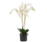 Leaf 60cm Design UK Realistic Artificial Orchid Flower Display in Pot in White Leaf White