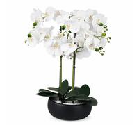 Leaf 60cm Orchid Artificial White Black Ceramic Planter in Green Leaf Green