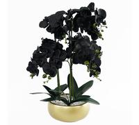 Leaf 60cm Orchid Black -Gold Ceramic Planter in Green Leaf Green
