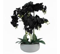 Leaf 60cm Orchid Black - White Ceramic Planter in Green Leaf Green
