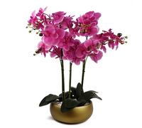 Leaf 60cm Orchid Purple - Gold Ceramic Planter in Green Leaf Green