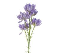 Leaf 60Cm Purple Starflower Stem - 5 Flowers