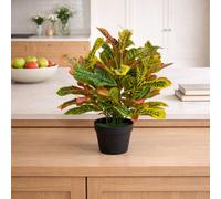 Leaf 65Cm Artificial Codiaeum Multicoloured House Plant