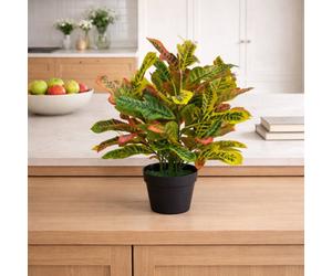 Leaf 65Cm Artificial Codiaeum Multicoloured House Plant