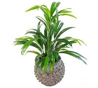 Leaf 65cm Artificial Large Bamboo Shrub Plant, LEAF-7140