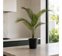 Leaf 70cm Artificial Areca Palm Tree Premium in Green Leaf Green