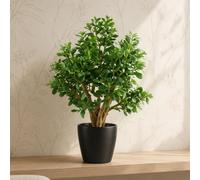 Leaf 70Cm Artificial Deluxe Jade Plant