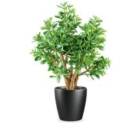 Leaf 70Cm Artificial Deluxe Jade Plant