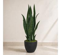 Leaf 70Cm Artificial Sansevieria Dark Green