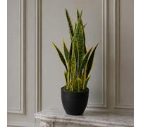 Leaf 70Cm Artificial Sansevieria With Pot