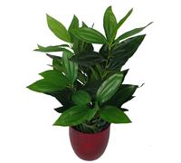 Leaf 70Cm Large Bushy Artificial Evergreen House Plant